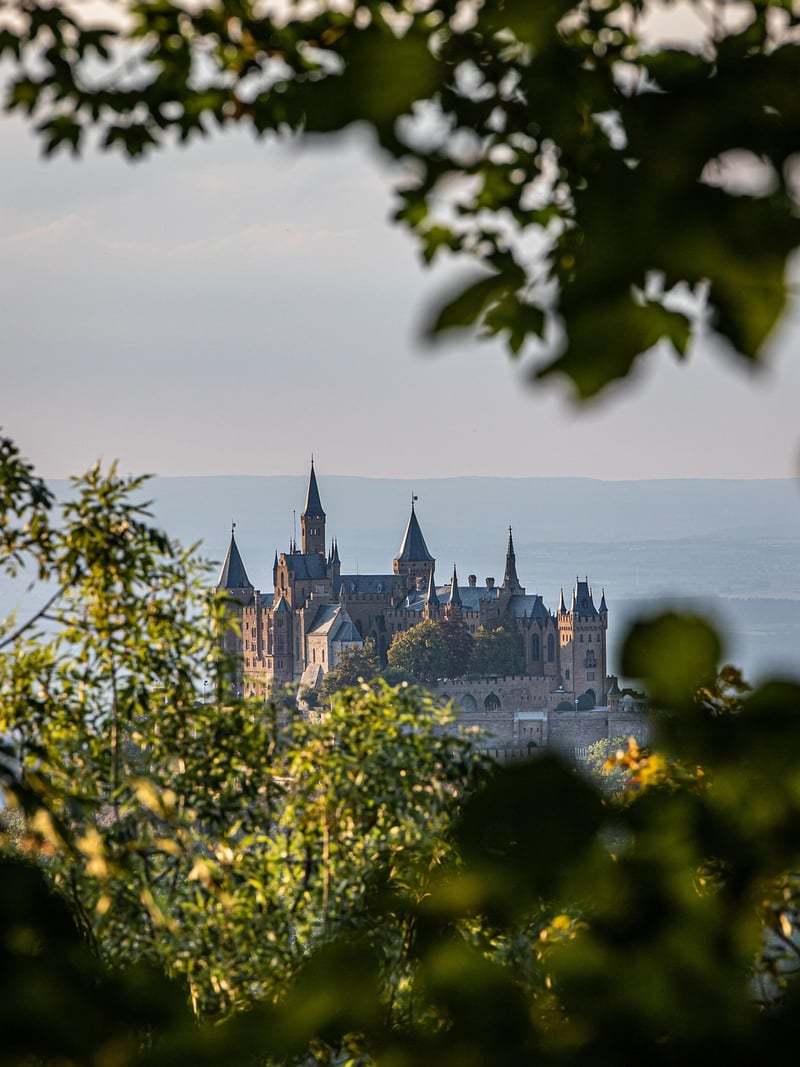 Medieval Castle and Knight